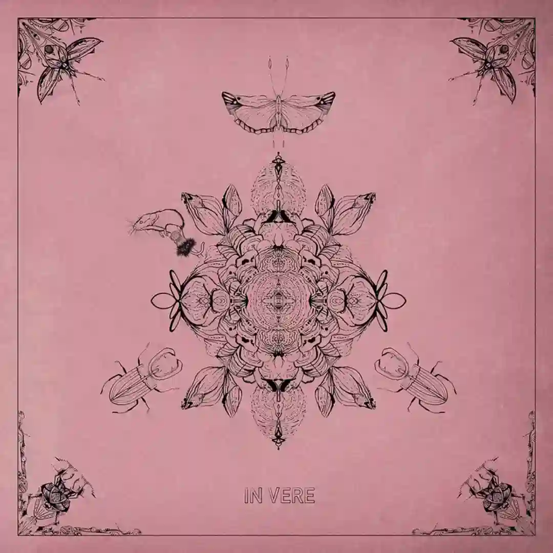APIS cover