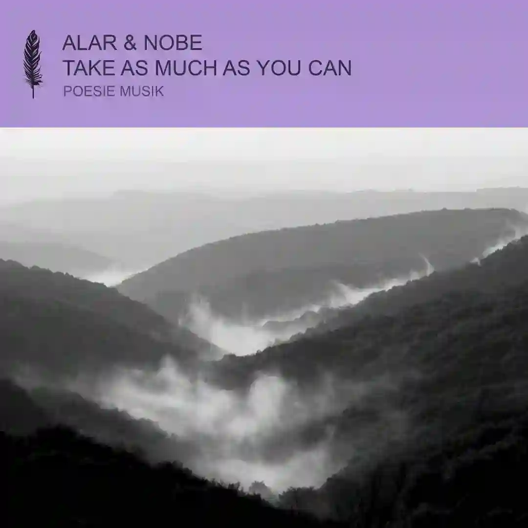 Take As Much As You Can (Original Mix) cover