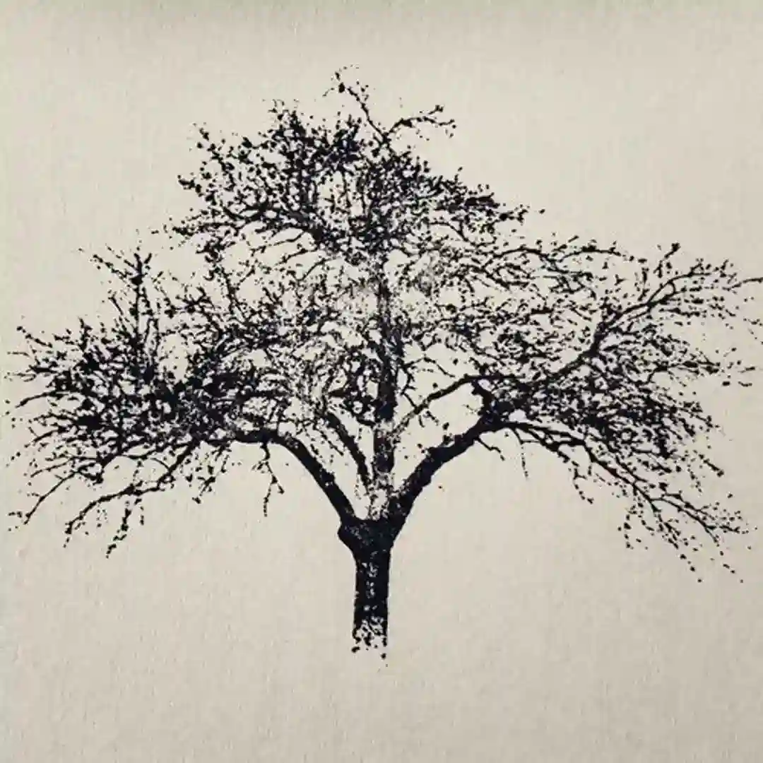 Prospect (Original Mix) cover