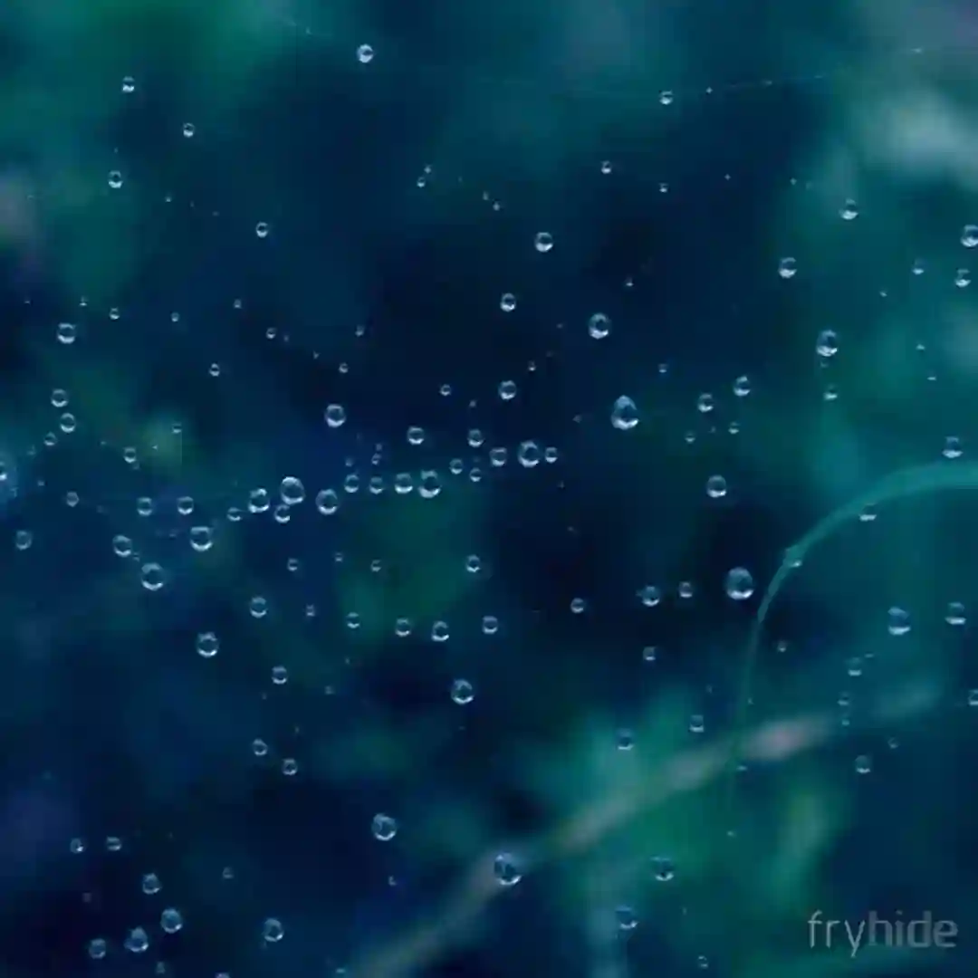 The Chase (HOSH Edit) cover