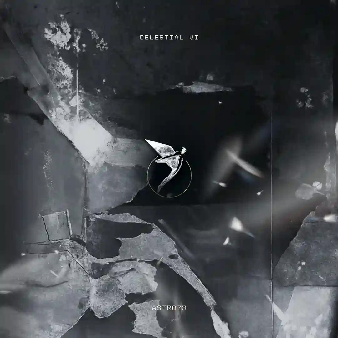 Celestial VI cover
