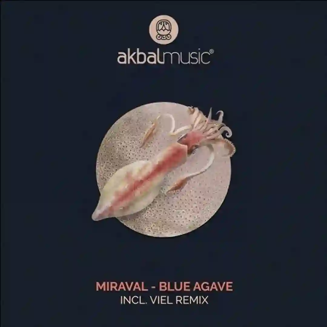 Vetiver (Original Mix) cover