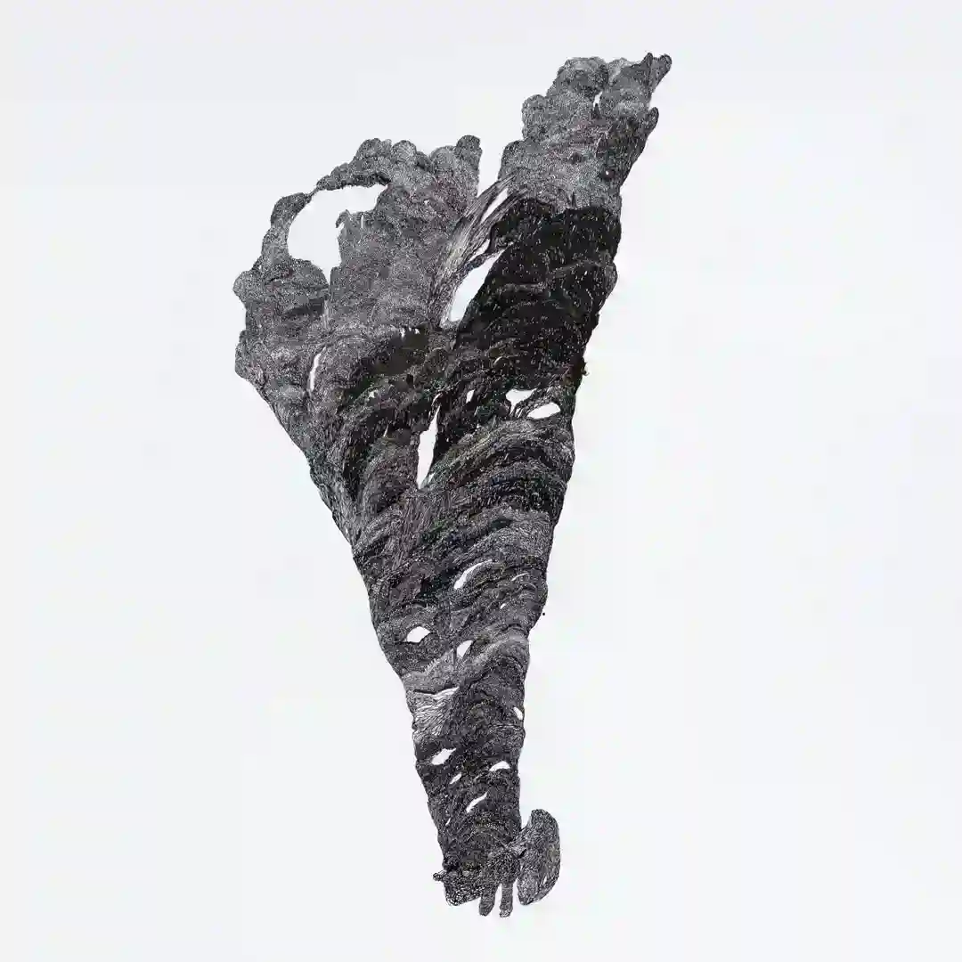 Acapulco cover