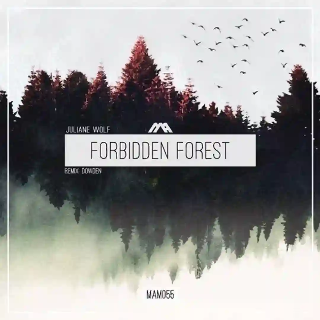 Forbidden Forest (Original Mix) cover