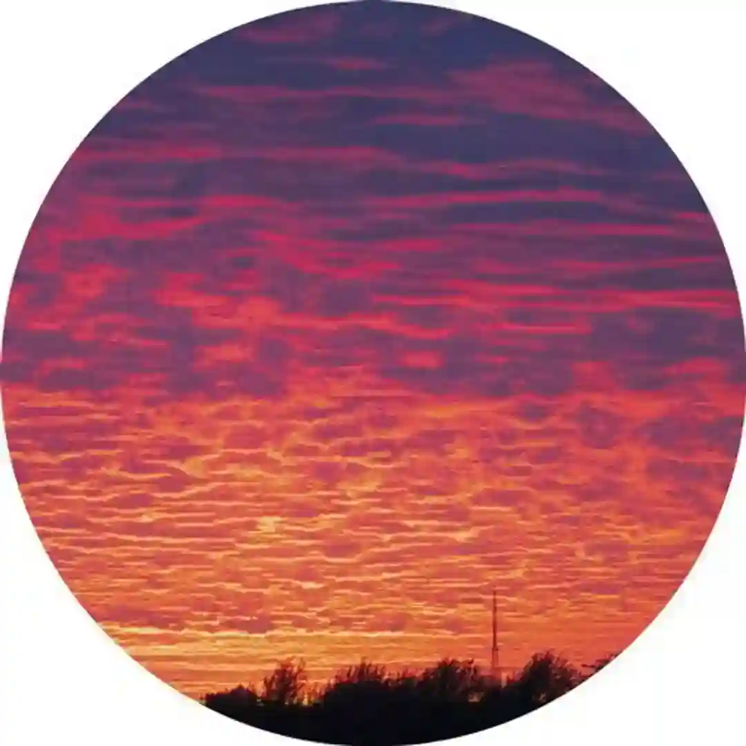 Calm (Original Mix) cover