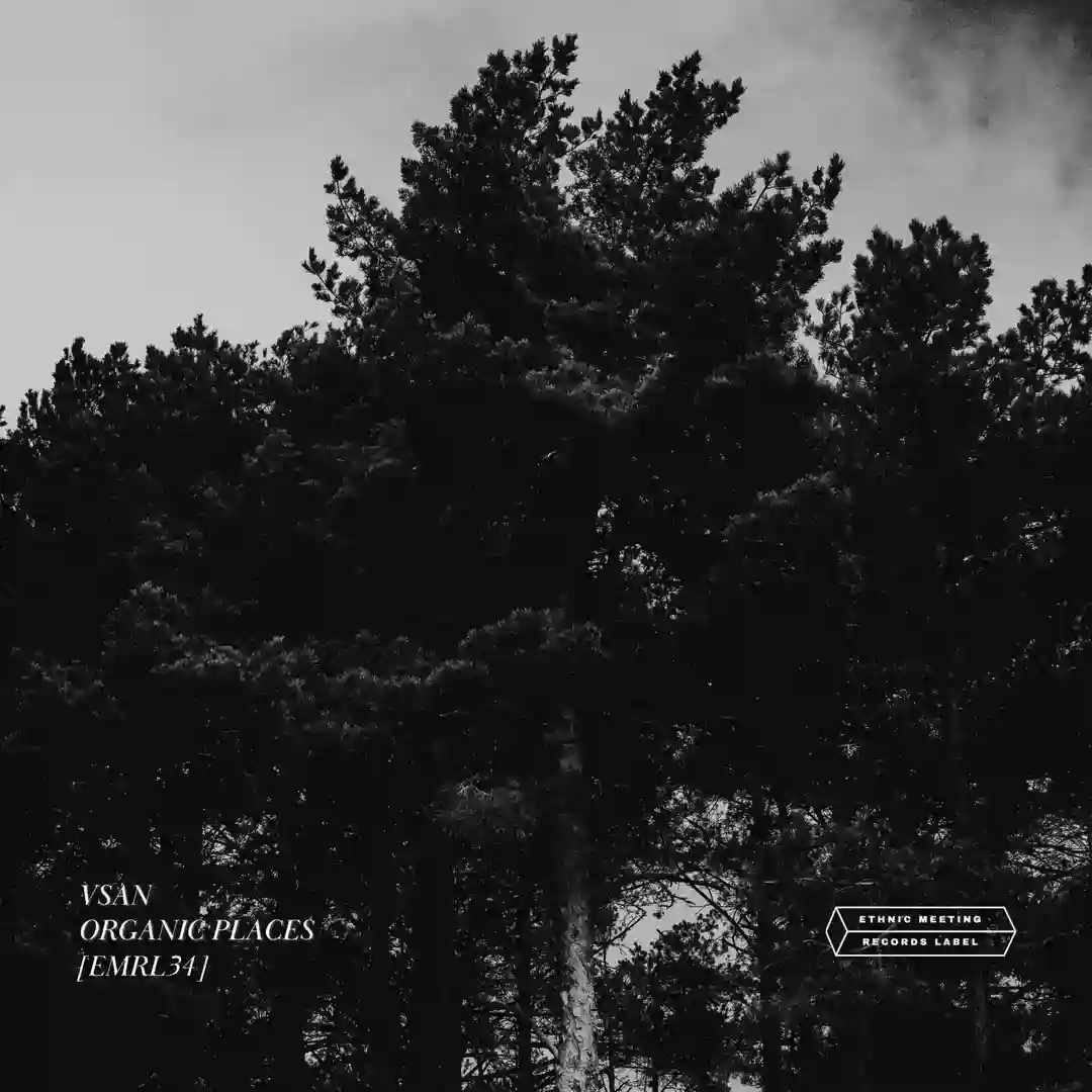 Complex (Original Mix) cover