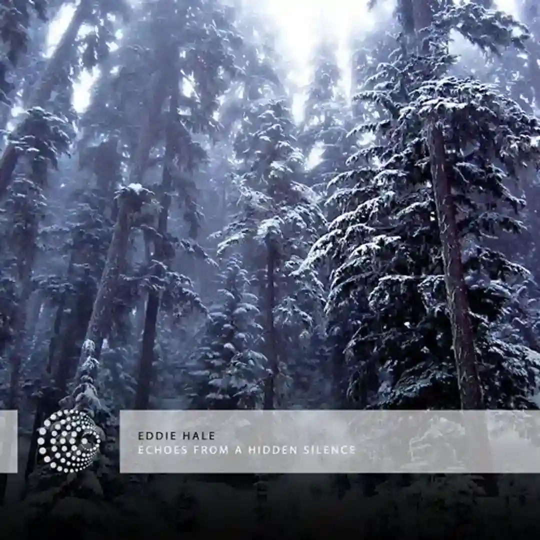 Foehn (Petar Dundov Remix) cover