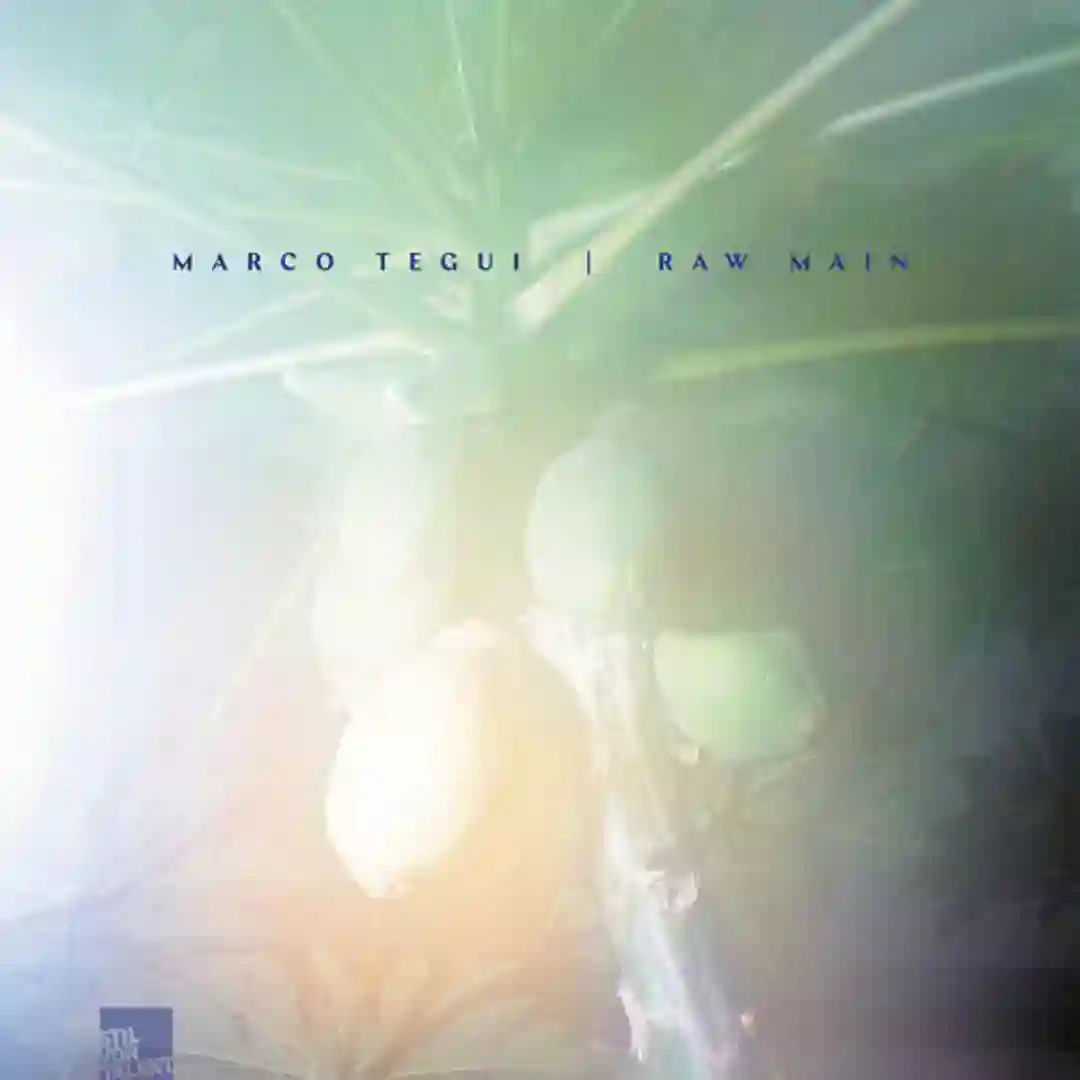 Hieronimi cover