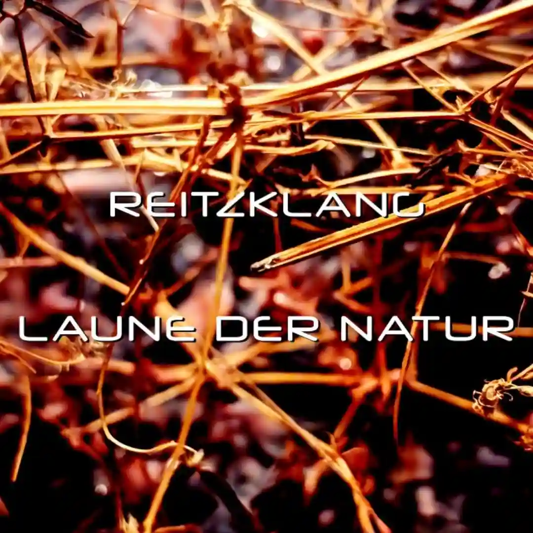 Laune der Natur (Original Mix) cover
