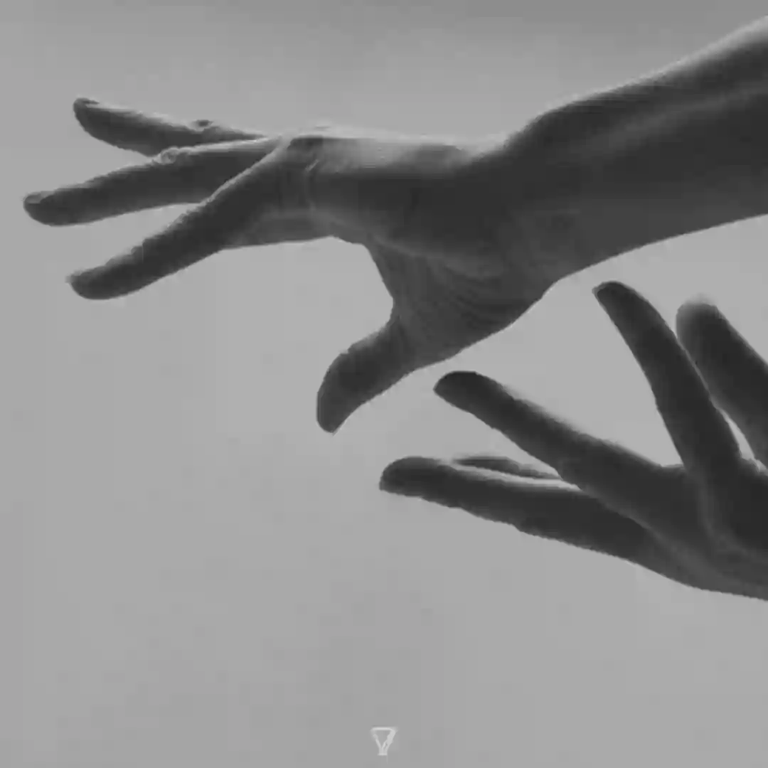 Roiboos cover