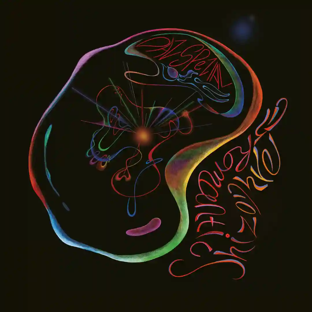Romantic Schizophremic (Henrik Schwarz Remix) cover
