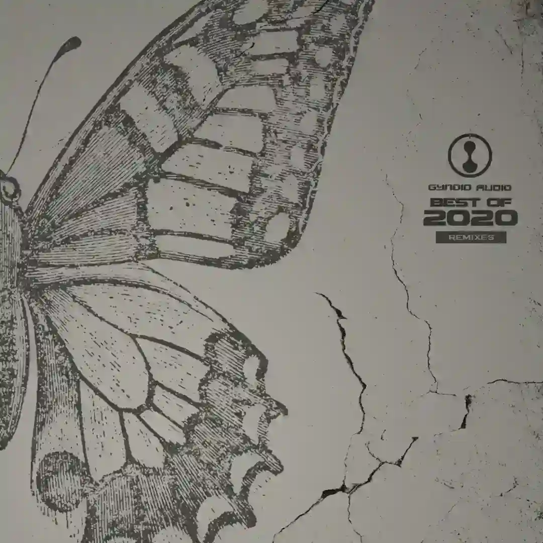 Point Of Convergence (Kaiser Remix) cover