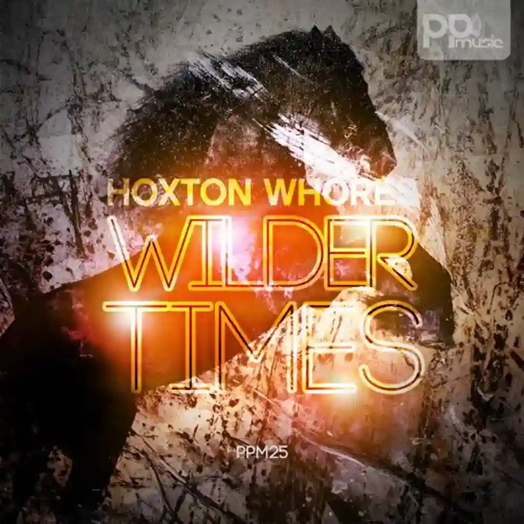 Wilder Times cover