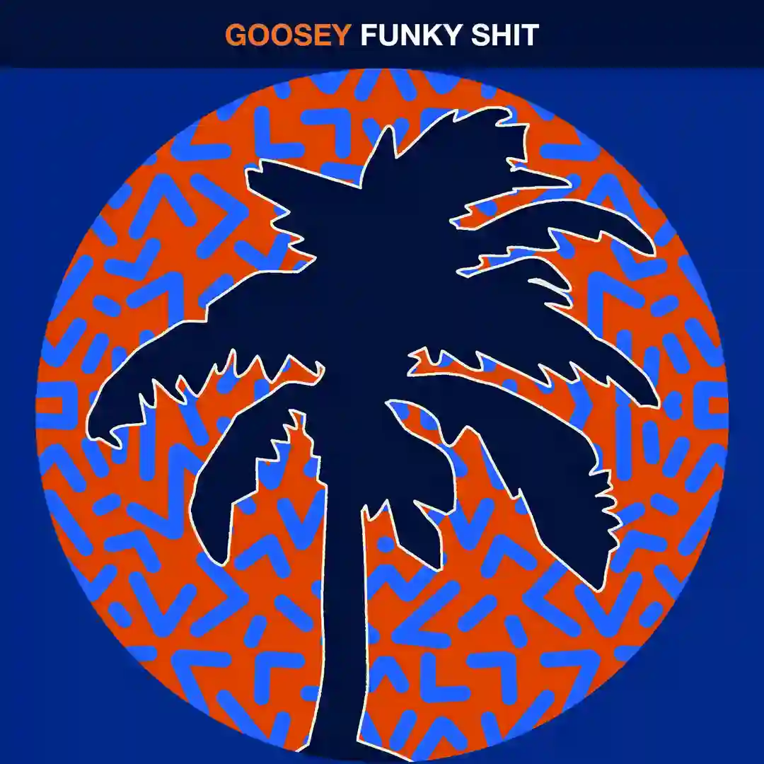 Funky Shit (Original Mix) cover