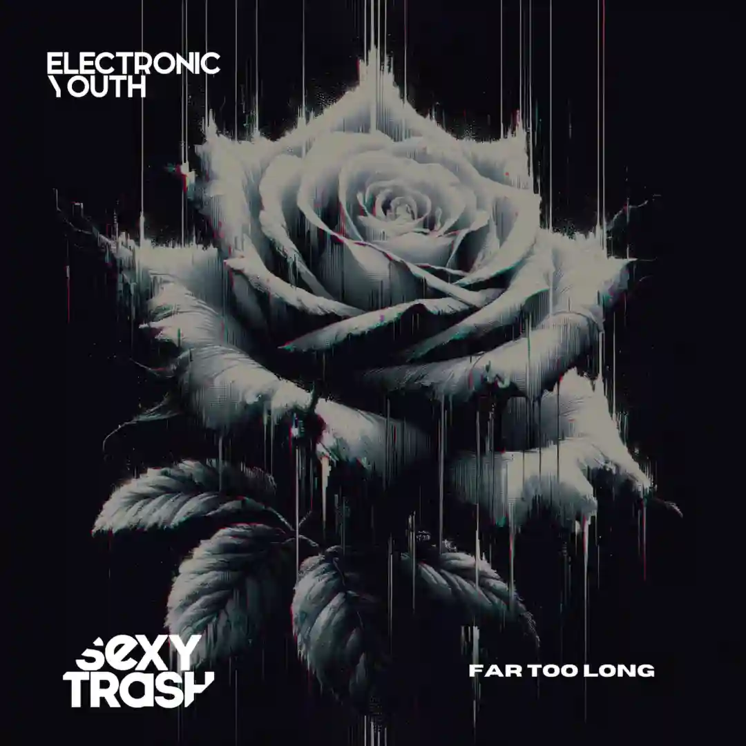 Far Too Long (Original Mix) cover
