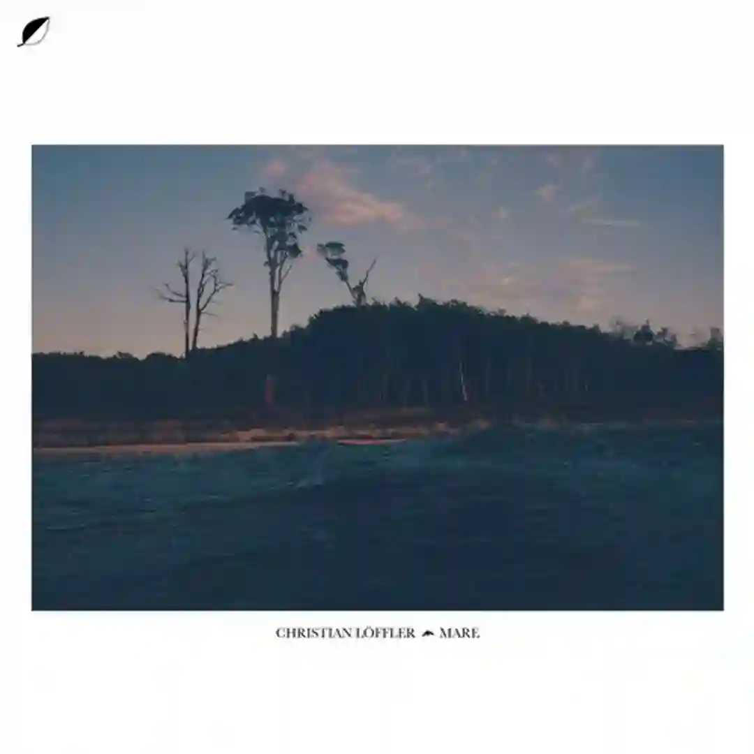 Swim (Original Mix) cover