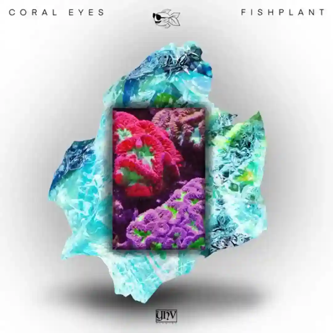 Coral Eyes (Original Mix) cover