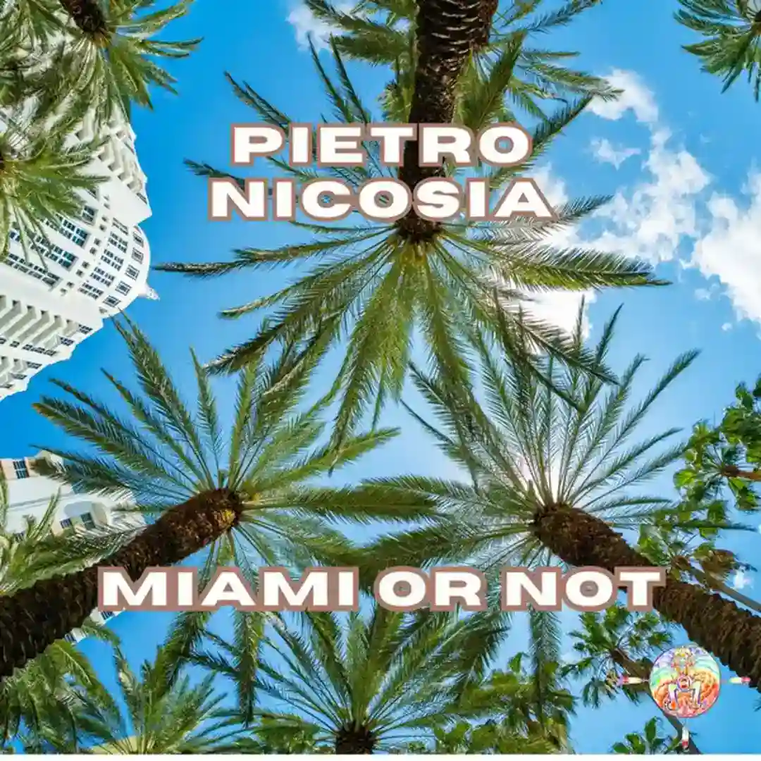 Miami Or Not cover