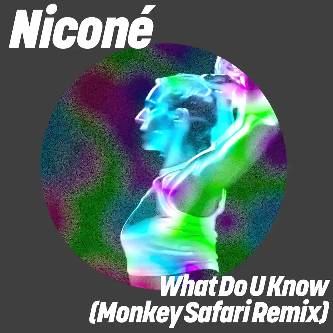 What Do U Know (Extended Mix) cover
