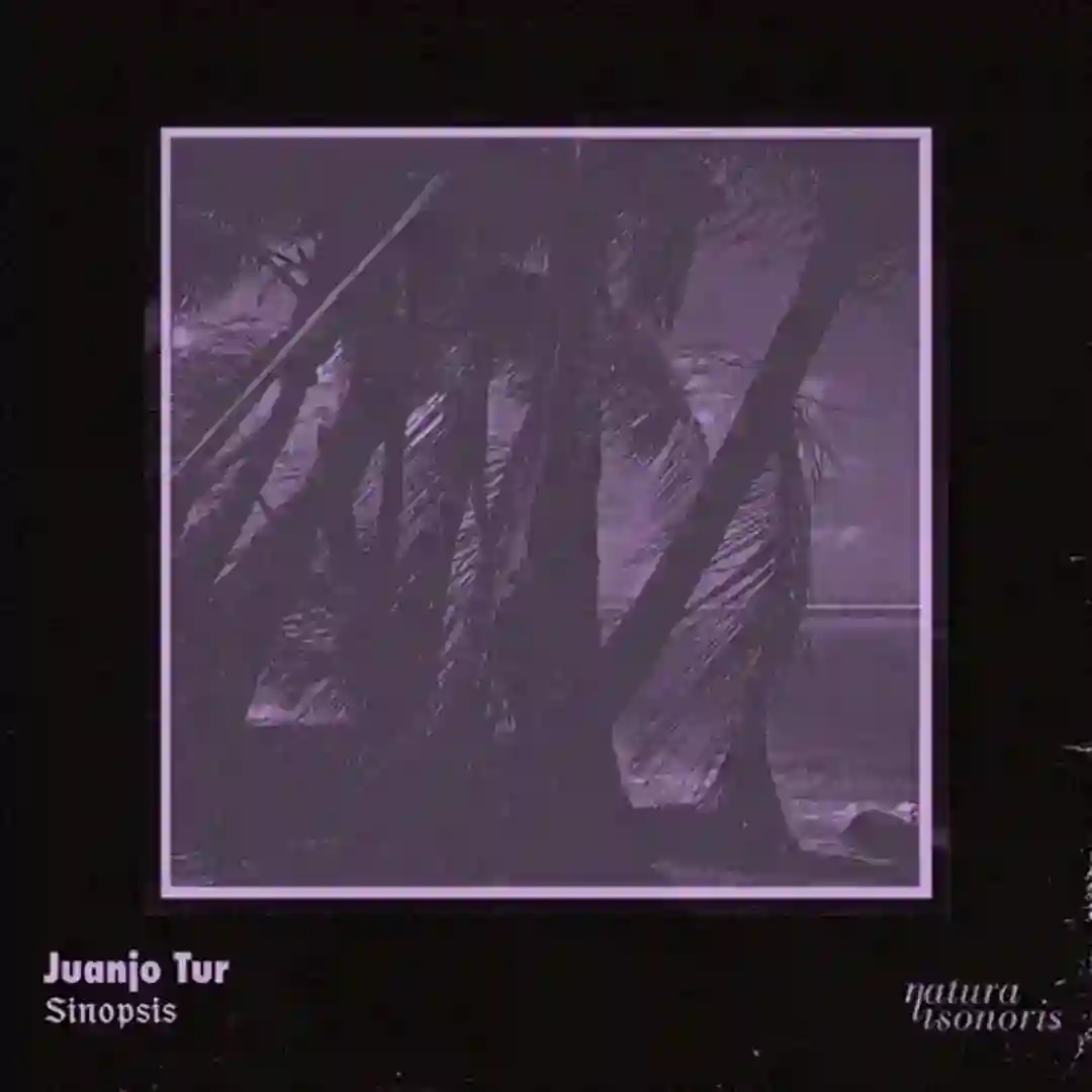 Sinopsis (Original Mix) cover