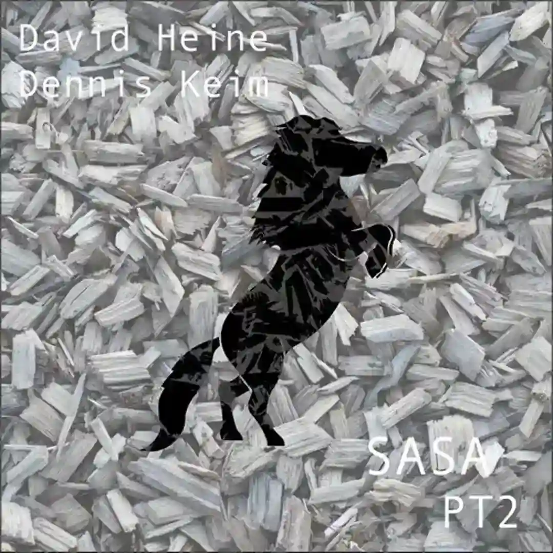 Sasa Edit cover