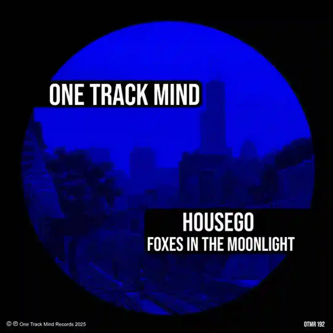 Foxes In The Moonlight cover