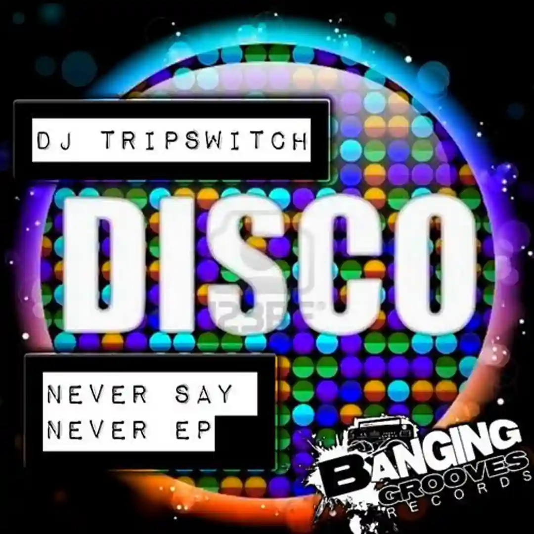 Never Say Never (Original Mix) cover