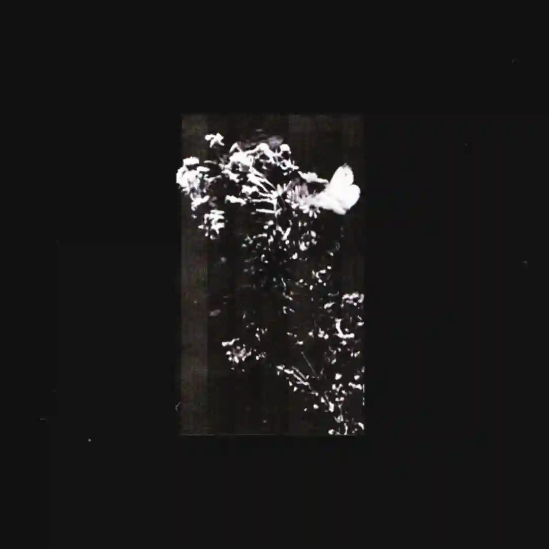 Residue, Part II (Original Mix) cover