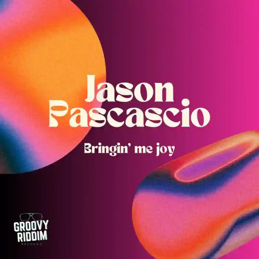Bringin' Me Joy (Radio Edit) cover