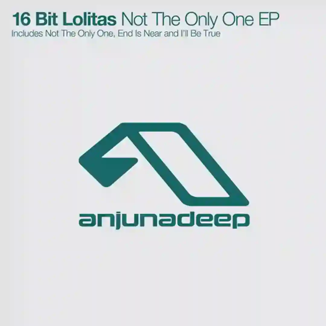 Not The Only One (Original Mix) cover
