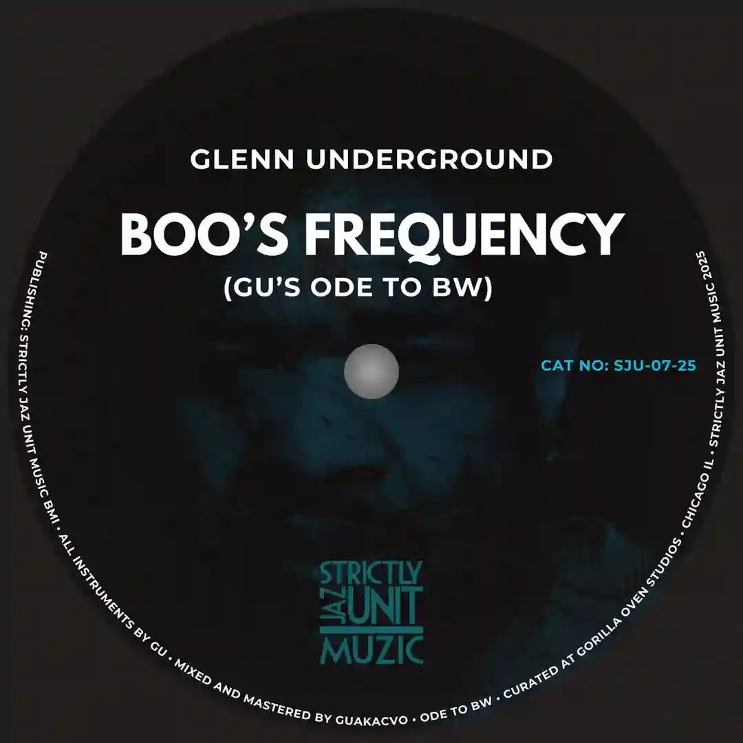 Boo's Frequency cover
