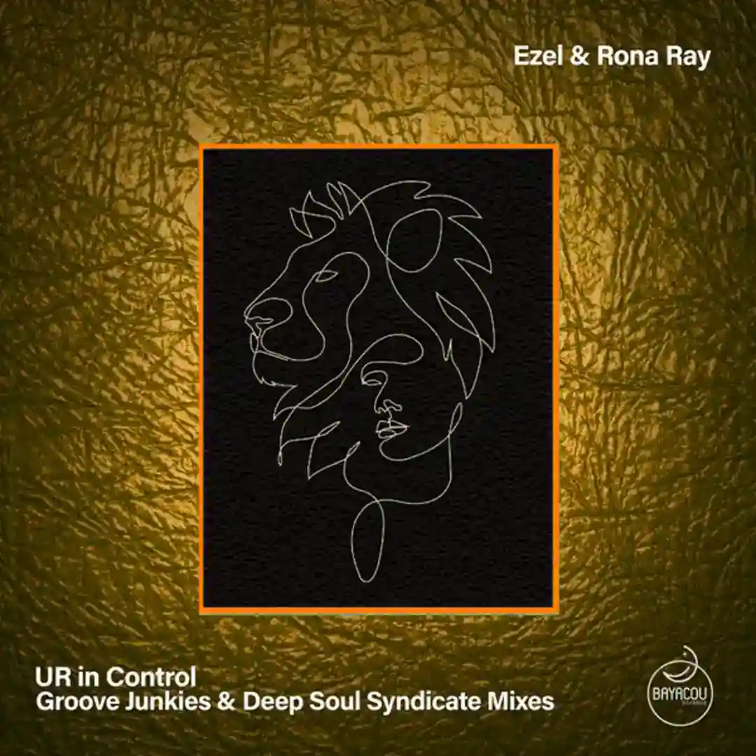 UR In Control (Groove Junkies & Deep Soul Syndicate Sure Is Bliss Mix) cover