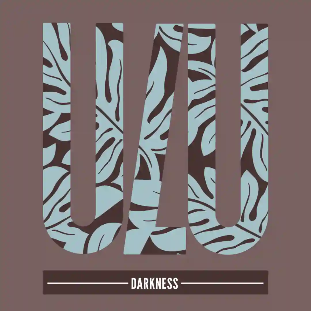 Darkness (Original Mix) cover