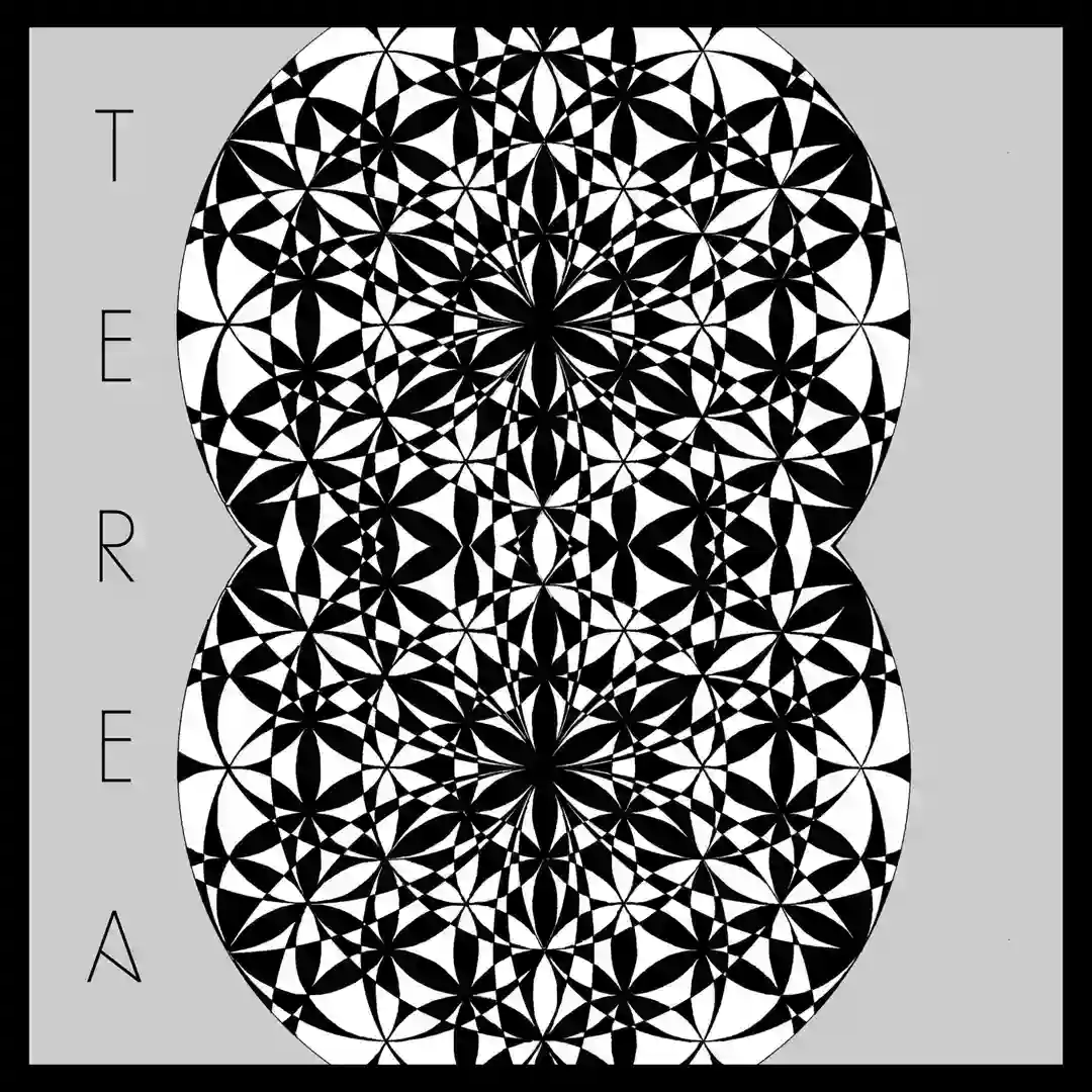 Dirul (Original Mix) cover
