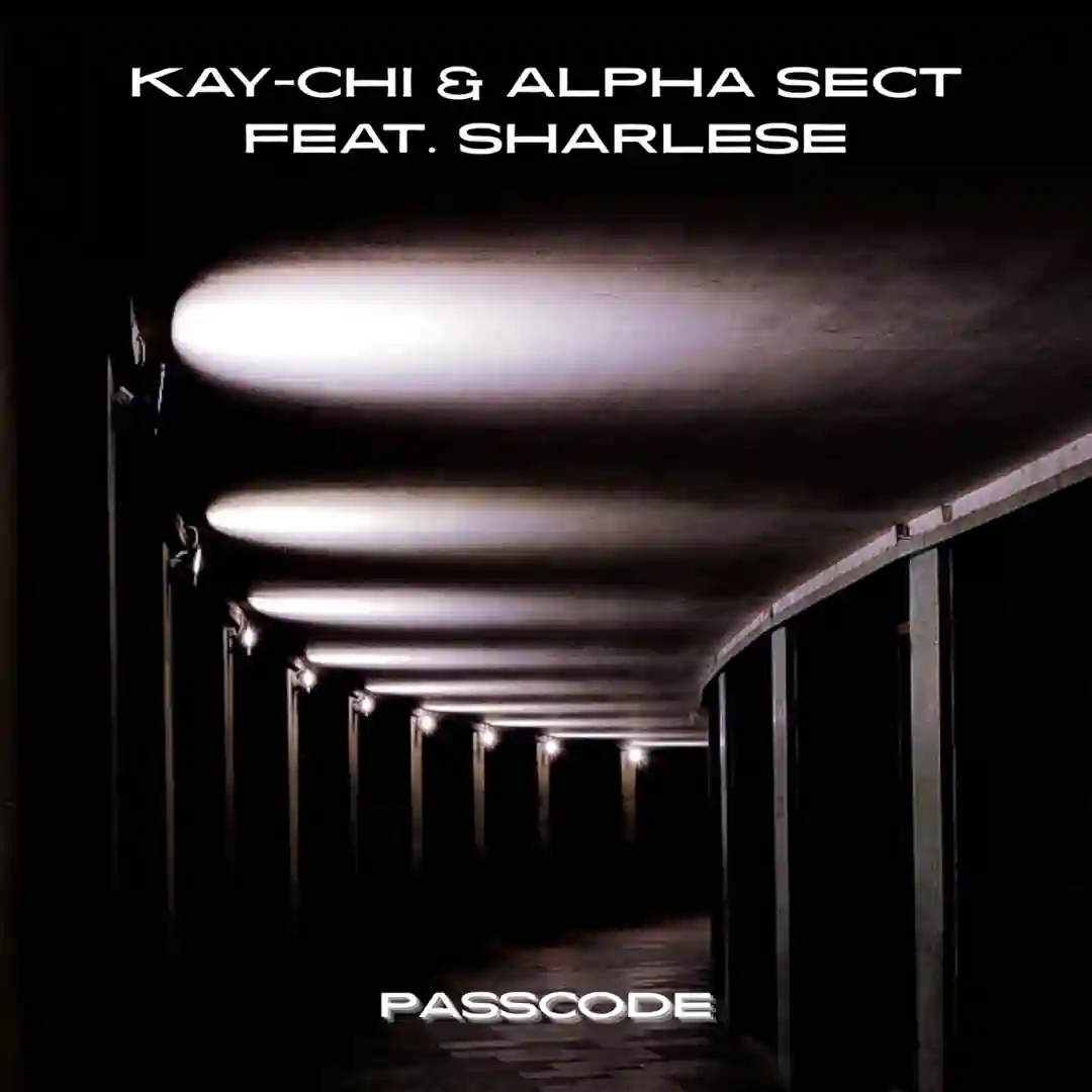 Passcode (Original Mix) cover