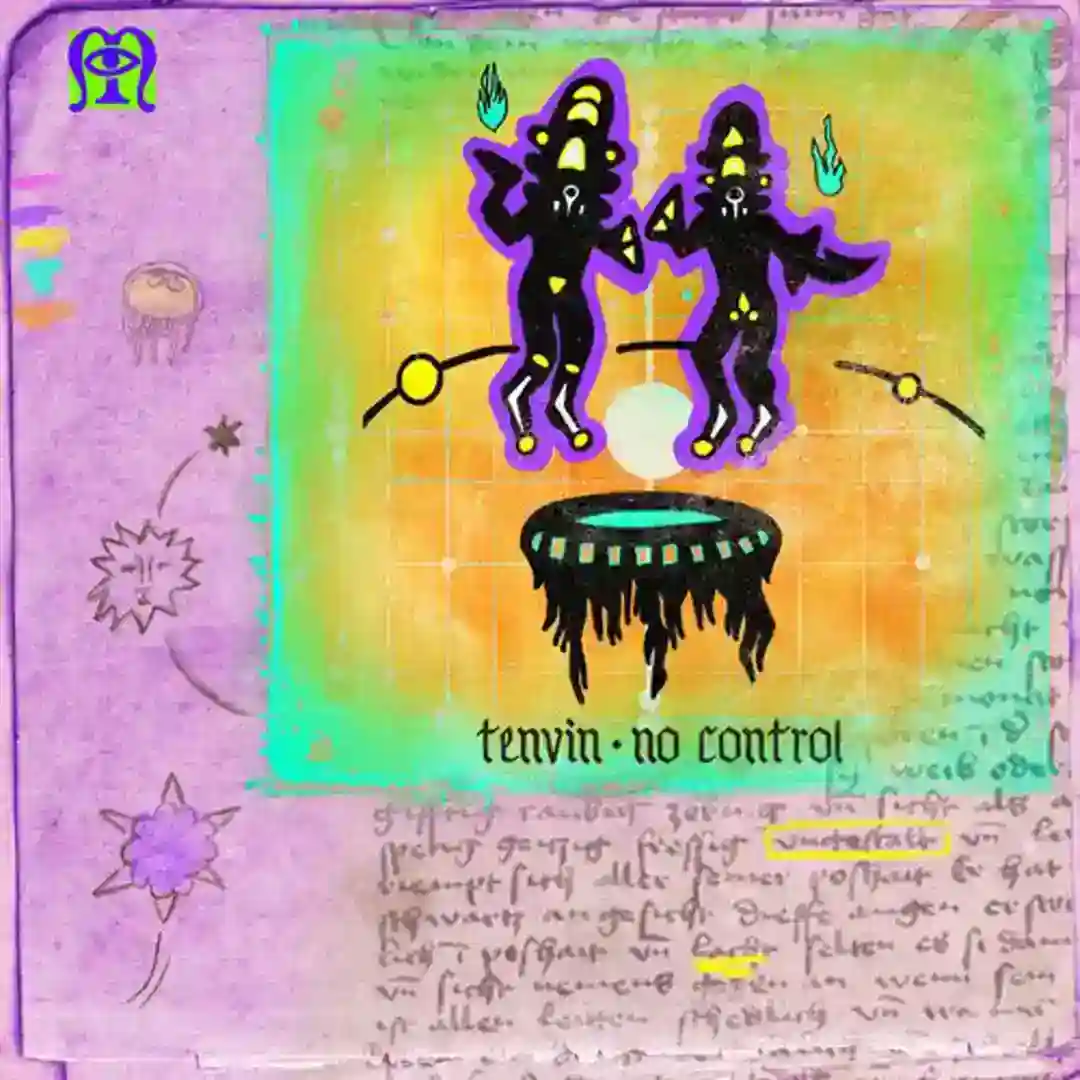 No Control (Original Mix) cover