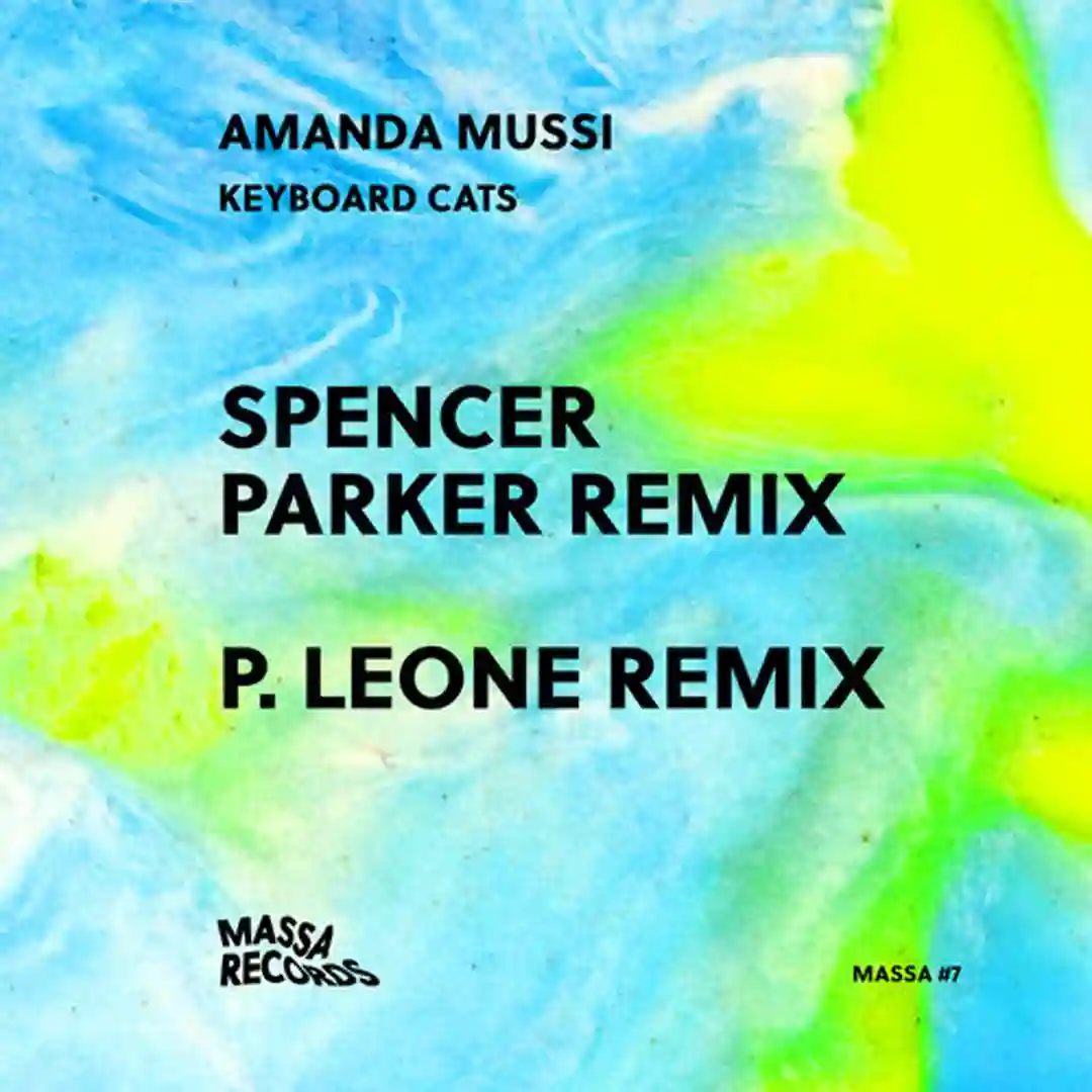 Keyboard Cats (Spencer Parker remix) cover