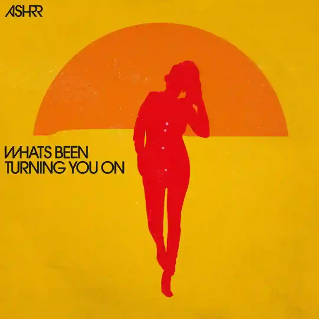 What's Been Turning You On cover