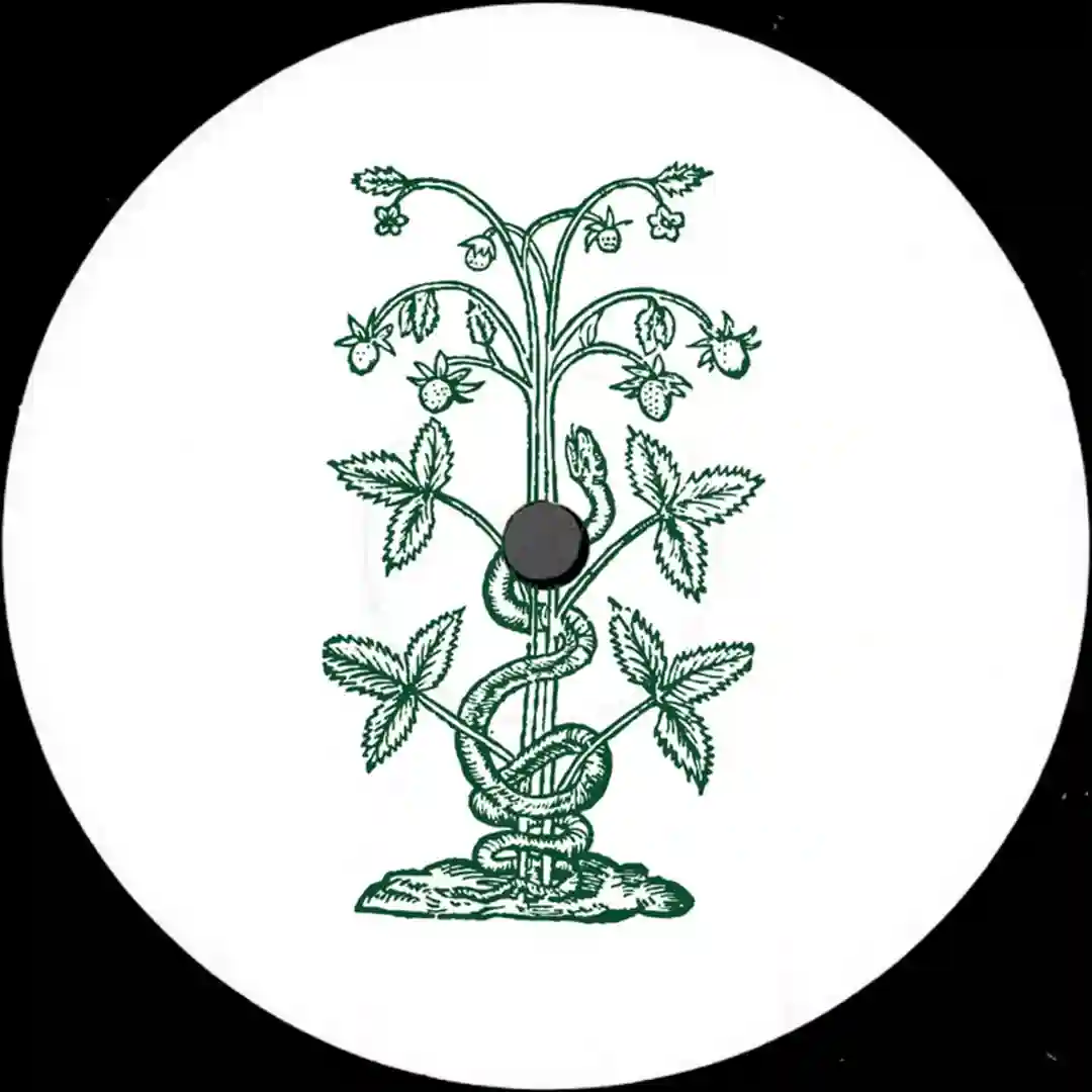 Chime (Dub) cover