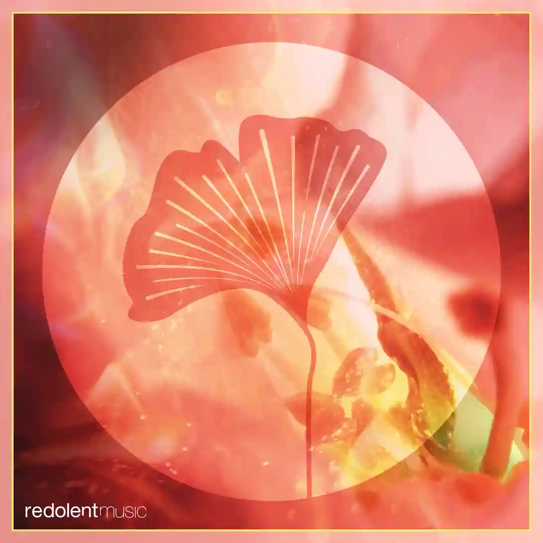 Pachamama cover