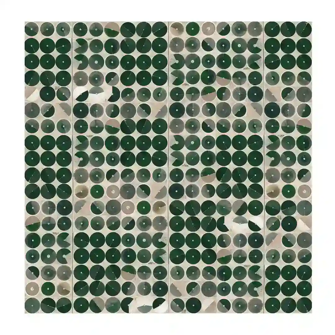 The Appearance of Forms cover