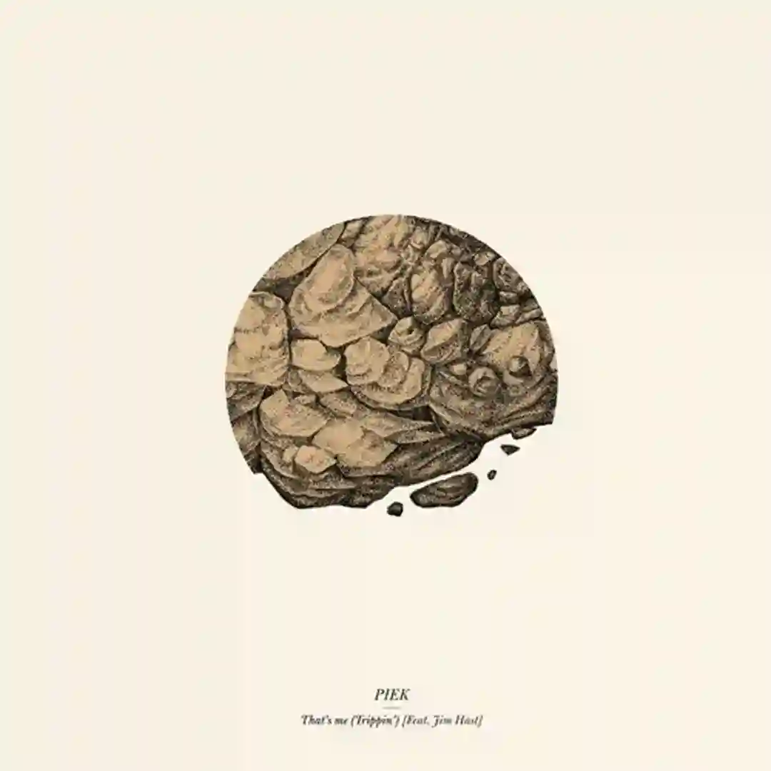 That's Me (Trippin) (Amnesia 88 Piek Club Mix) cover