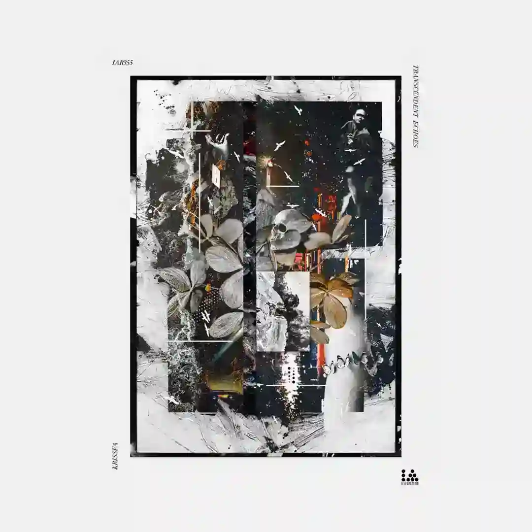 Aural Anomaly (Original Mix) cover