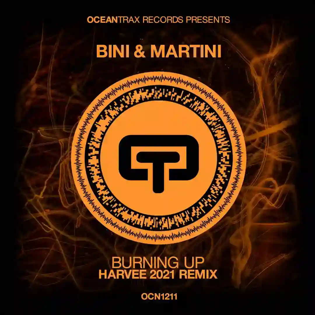 Burning Up (Harvee 2021 Remix) cover