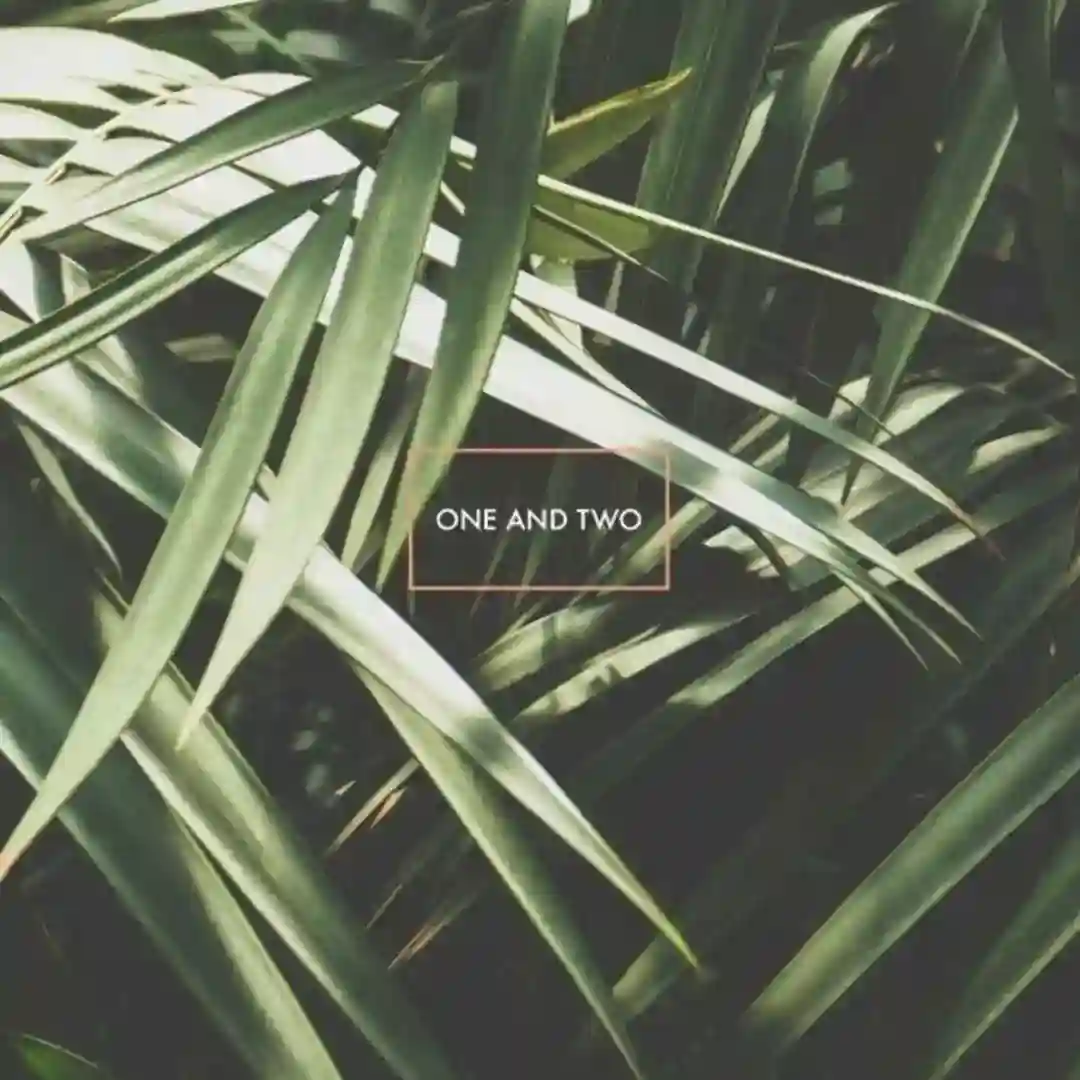 One and Two cover