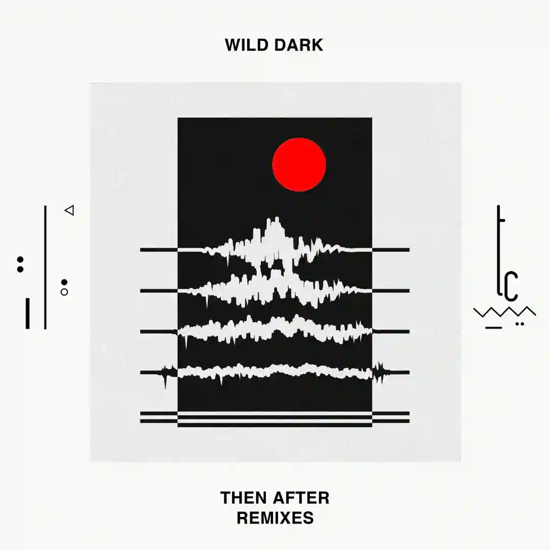 Then After Remixes cover