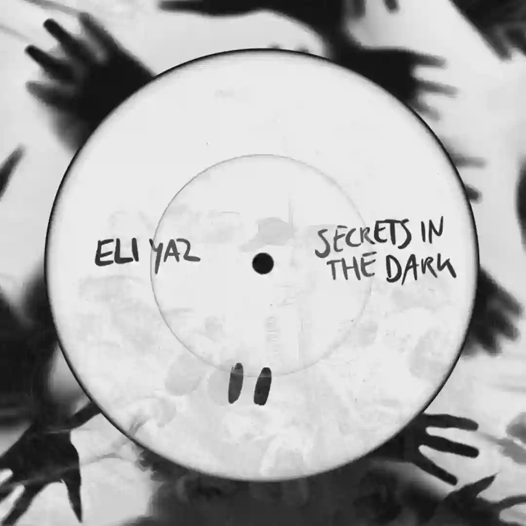 Secrets In The Dark (Hard Techno Edit) cover