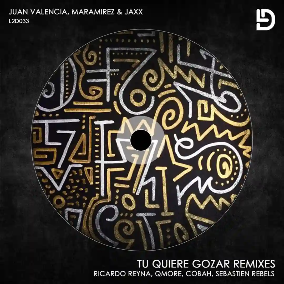 Tu Quiere Gozar (Ricardo Reyna Remix) cover