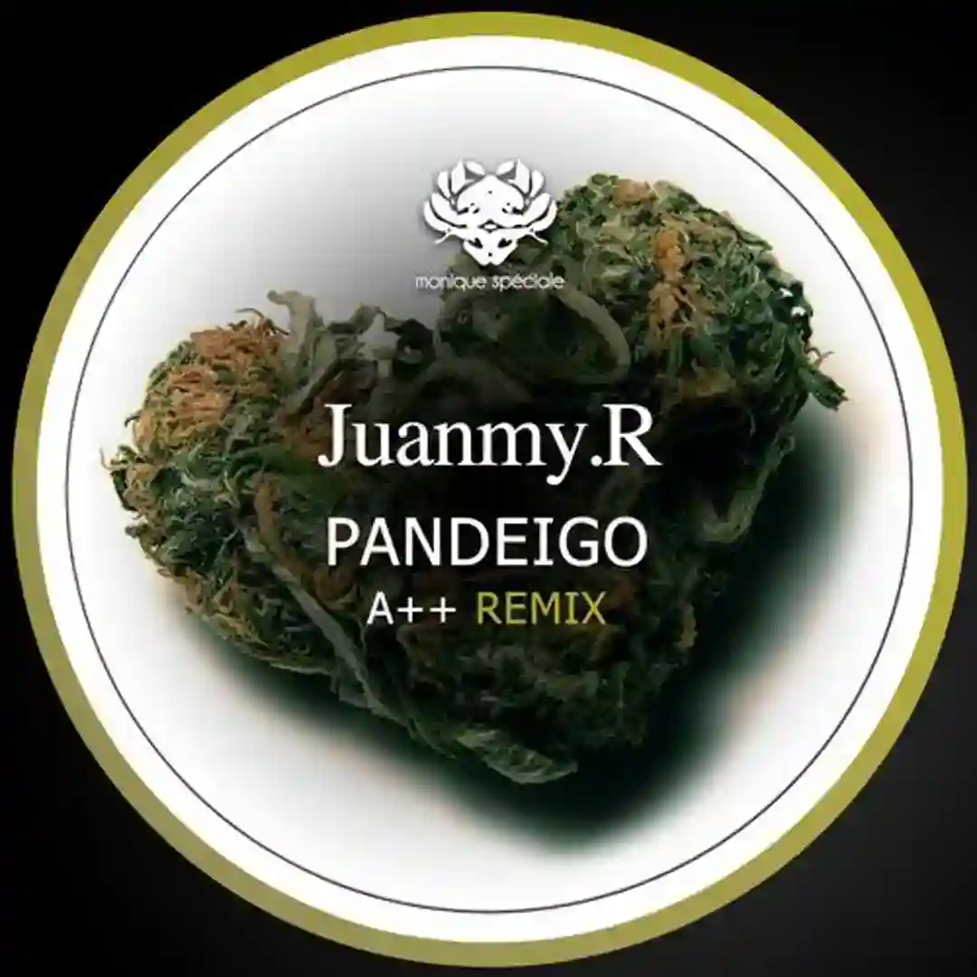 Pandeigo (Original Mix) cover