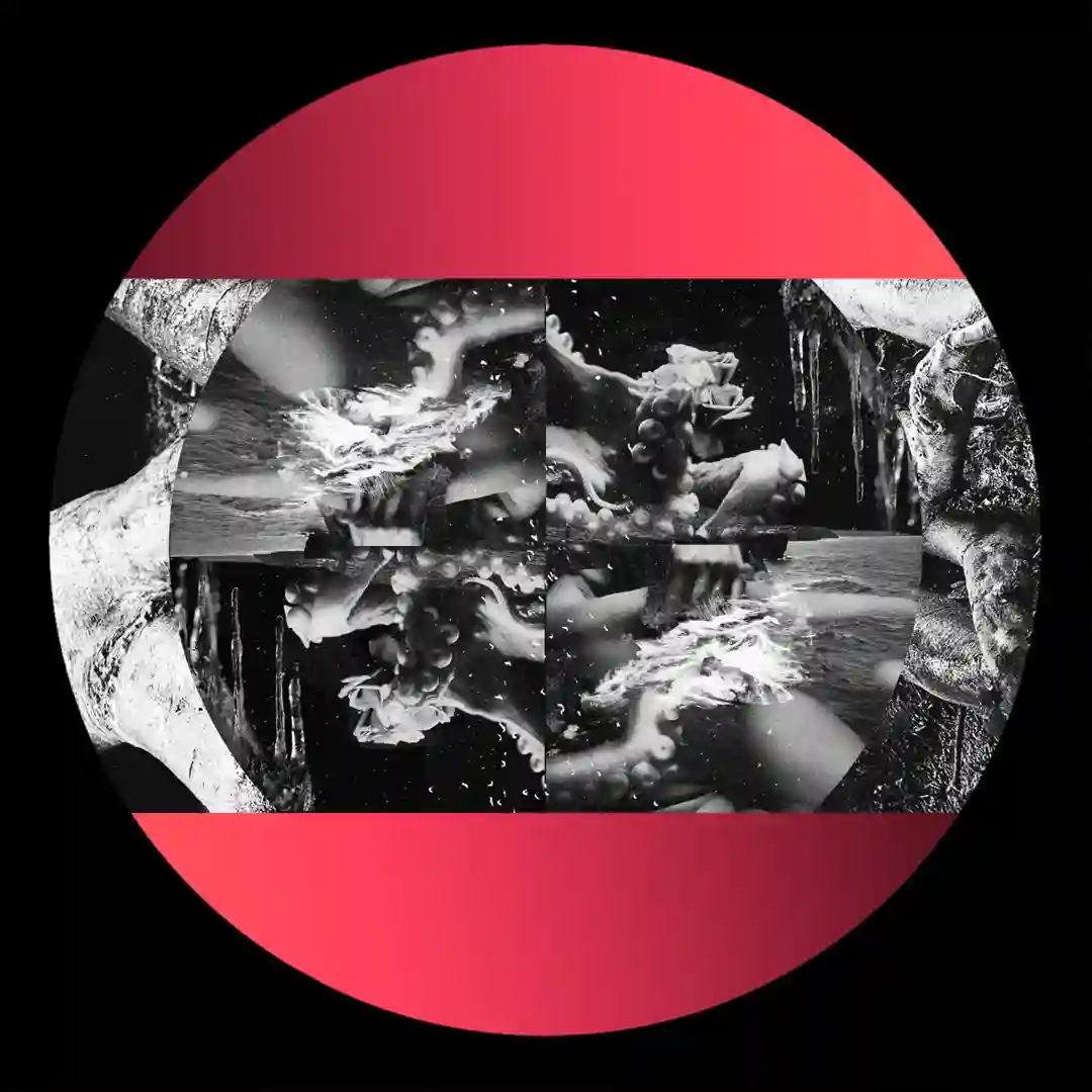 Lush (Original Mix) cover